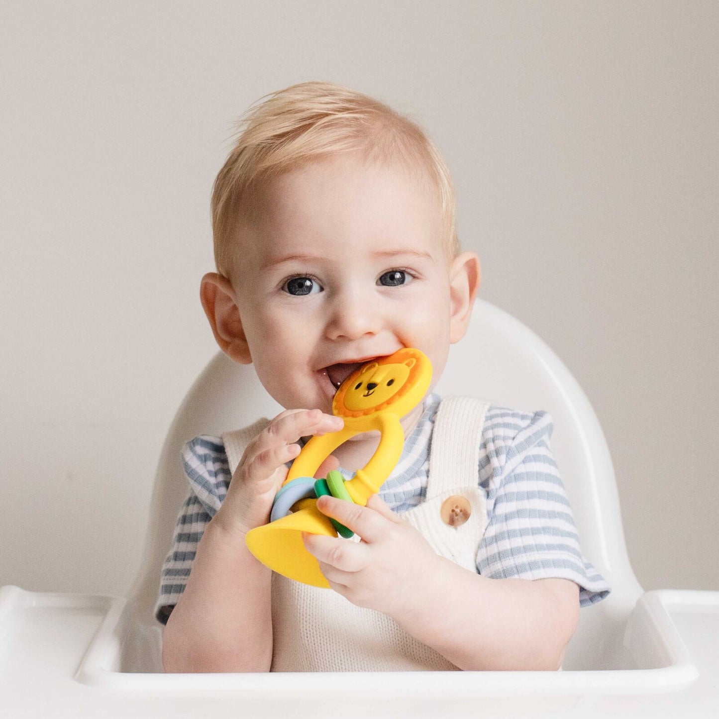 Tiger Tibe | High Chair Buddy (various)
