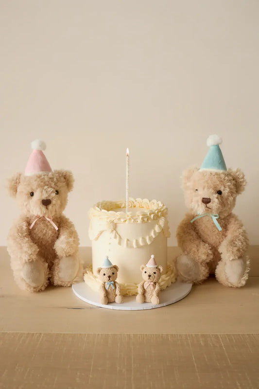 Jamie Kay | Arthur the Birthday Bear (various)