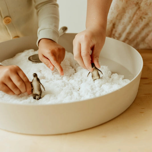 Jellystone | Sensory Kits