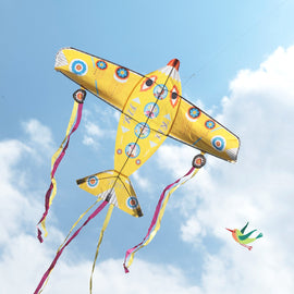 Djeco | Maxi Plane Kite