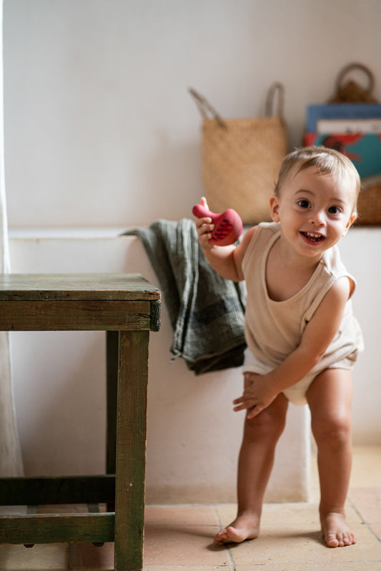 Grapat | Birds (various)