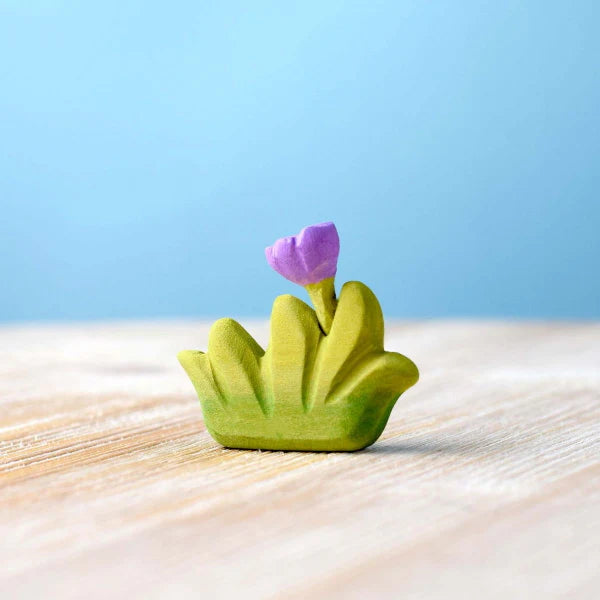 Bumbu | Small Grass with Purple Flowers