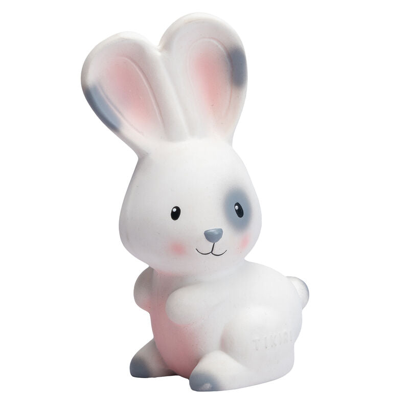 Tikiri | Rattle & Bath Toy - Farm