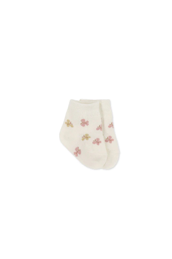 Jamie Kay | Socks '25 (various)