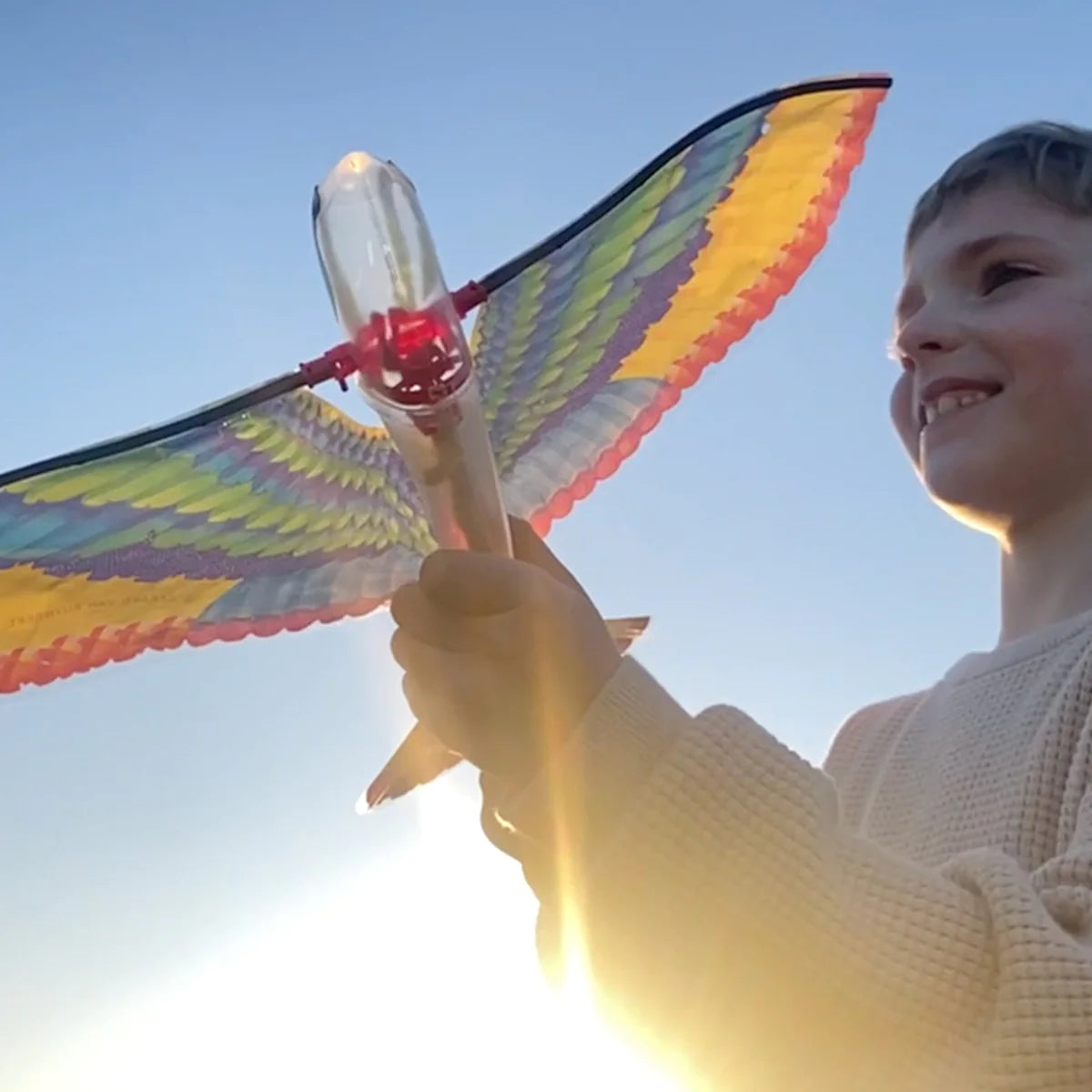 Tiger Tribe | Tim - The Original Flying Bird