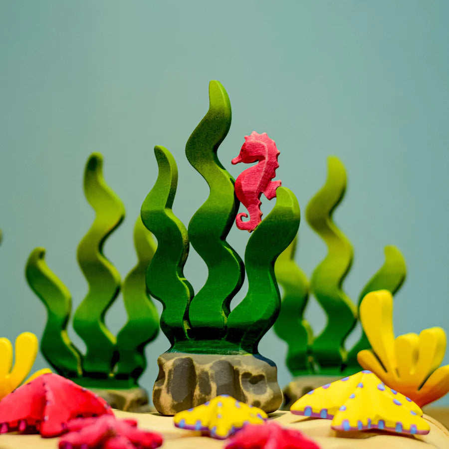 Bumbu | Seahorse