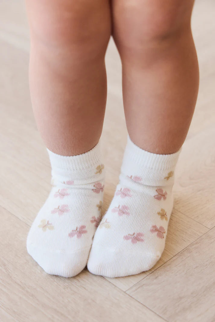 Jamie Kay | Socks '25 (various)