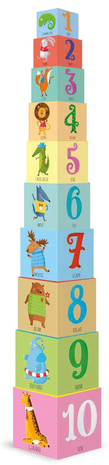 Sassi | Edu Stacking Blocks & Book Set (various)