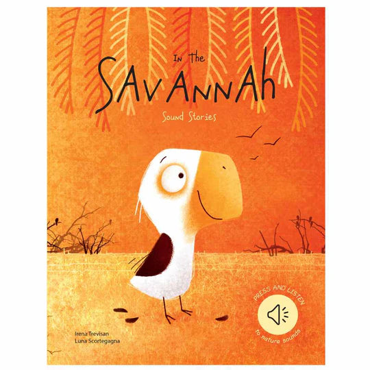 Sassi | Sound Book (various)