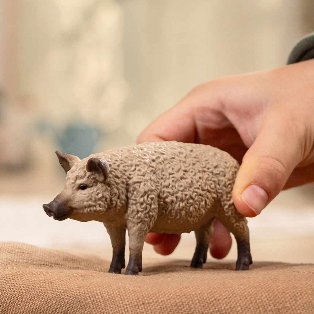 Schleich | Mangalica Pig
