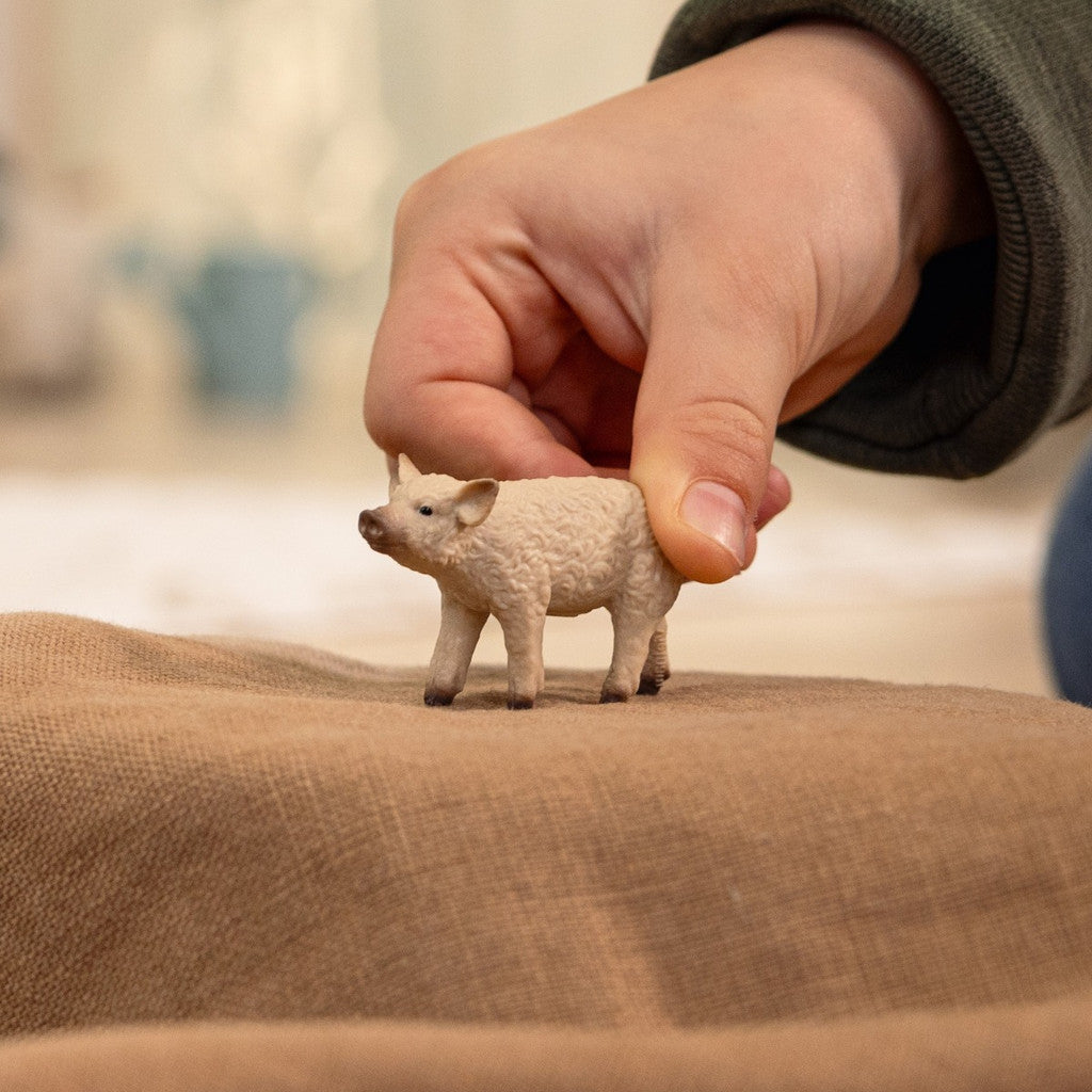 Schleich | Mangalica Piglet