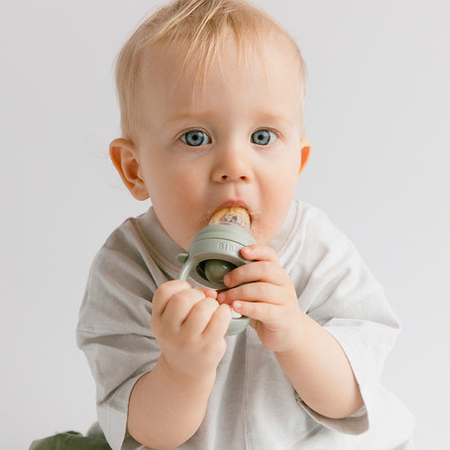 BIBS | Baby Feeder (various)