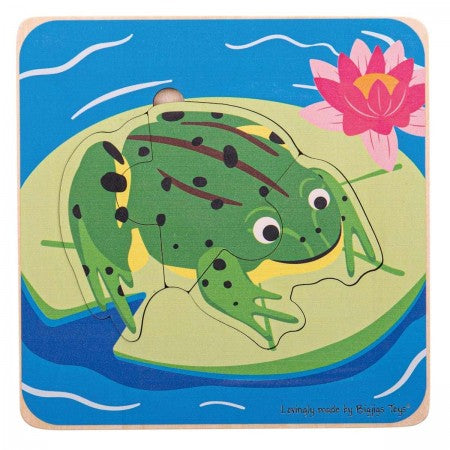 Bigjigs | Lifecycle Puzzle (various)