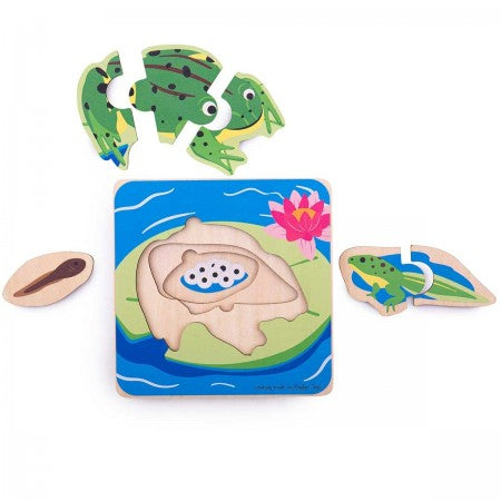 Bigjigs | Lifecycle Puzzle (various)