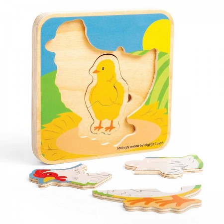 Bigjigs | Lifecycle Puzzle (various)