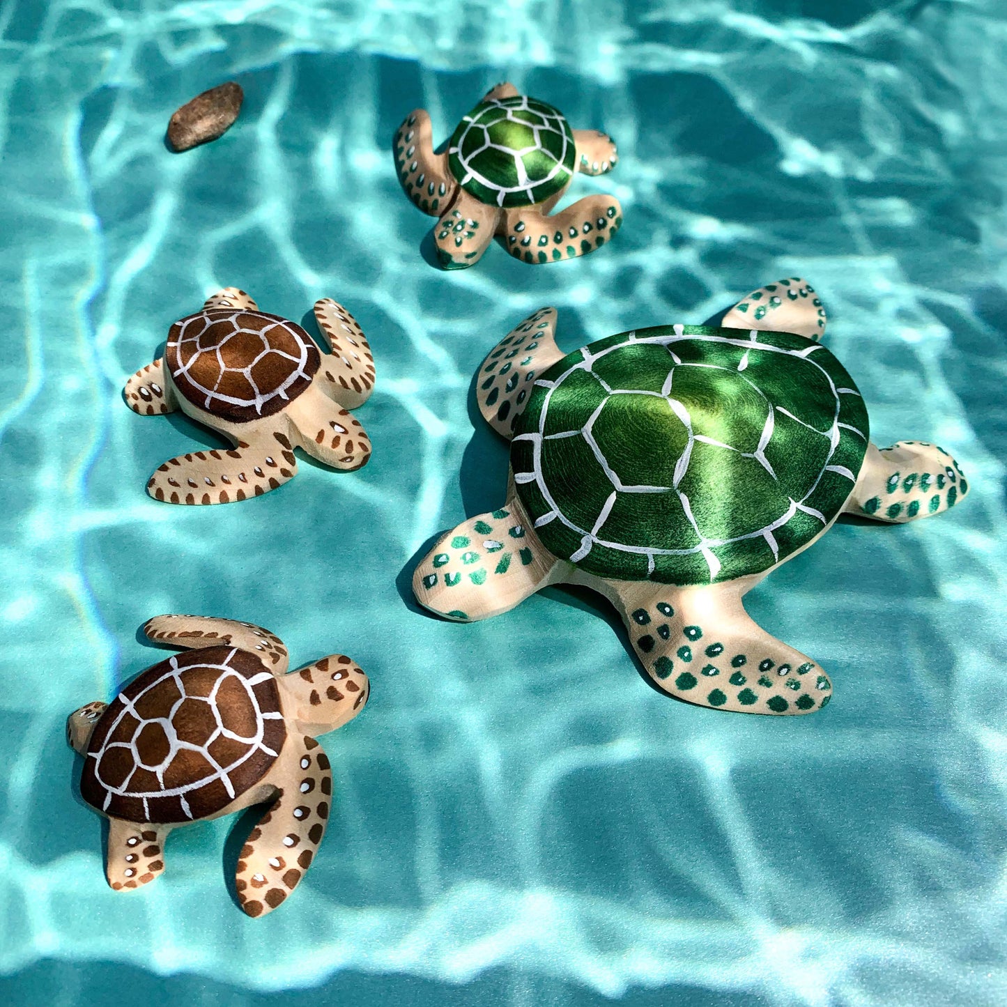 Bumbu | Baby Green Turtle