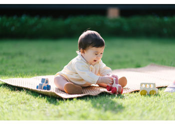 Plan Toys | Timber Trail (various)