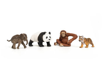 Schleich | Wild Life Asia Starter Set