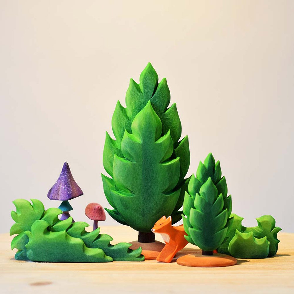 Bumbu | Thuja