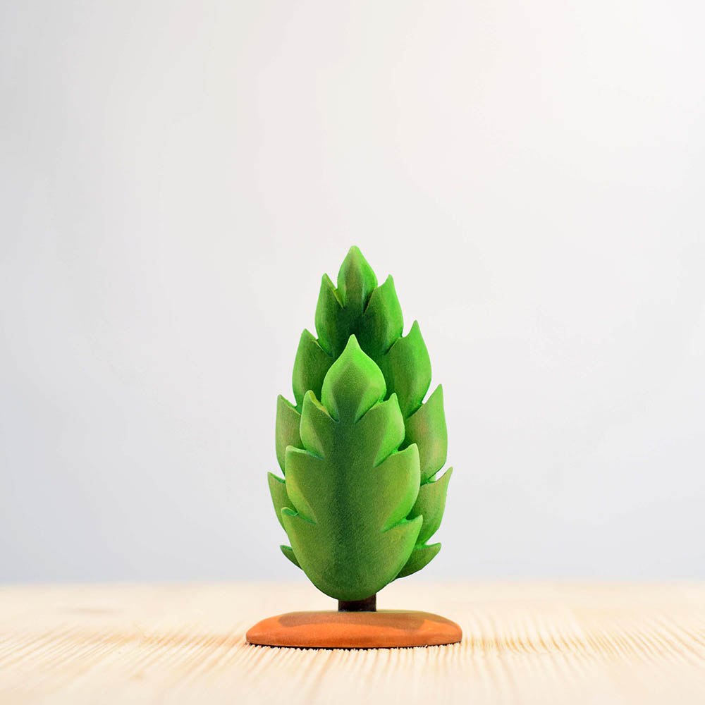 Bumbu | Thuja