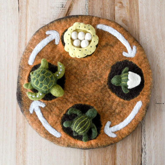 Tara Treasures | Life Cycle of a Green Sea Turtle