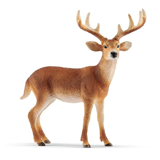 Schleich | White Tailed Buck