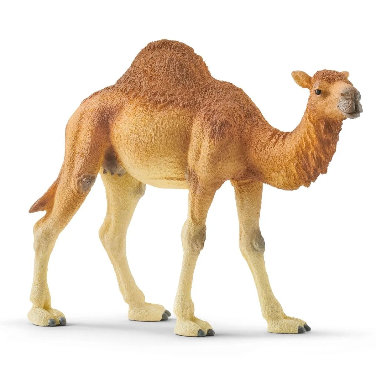 Schleich | Dromedary