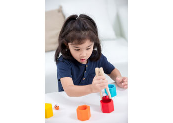 Plan Toys | Beehives