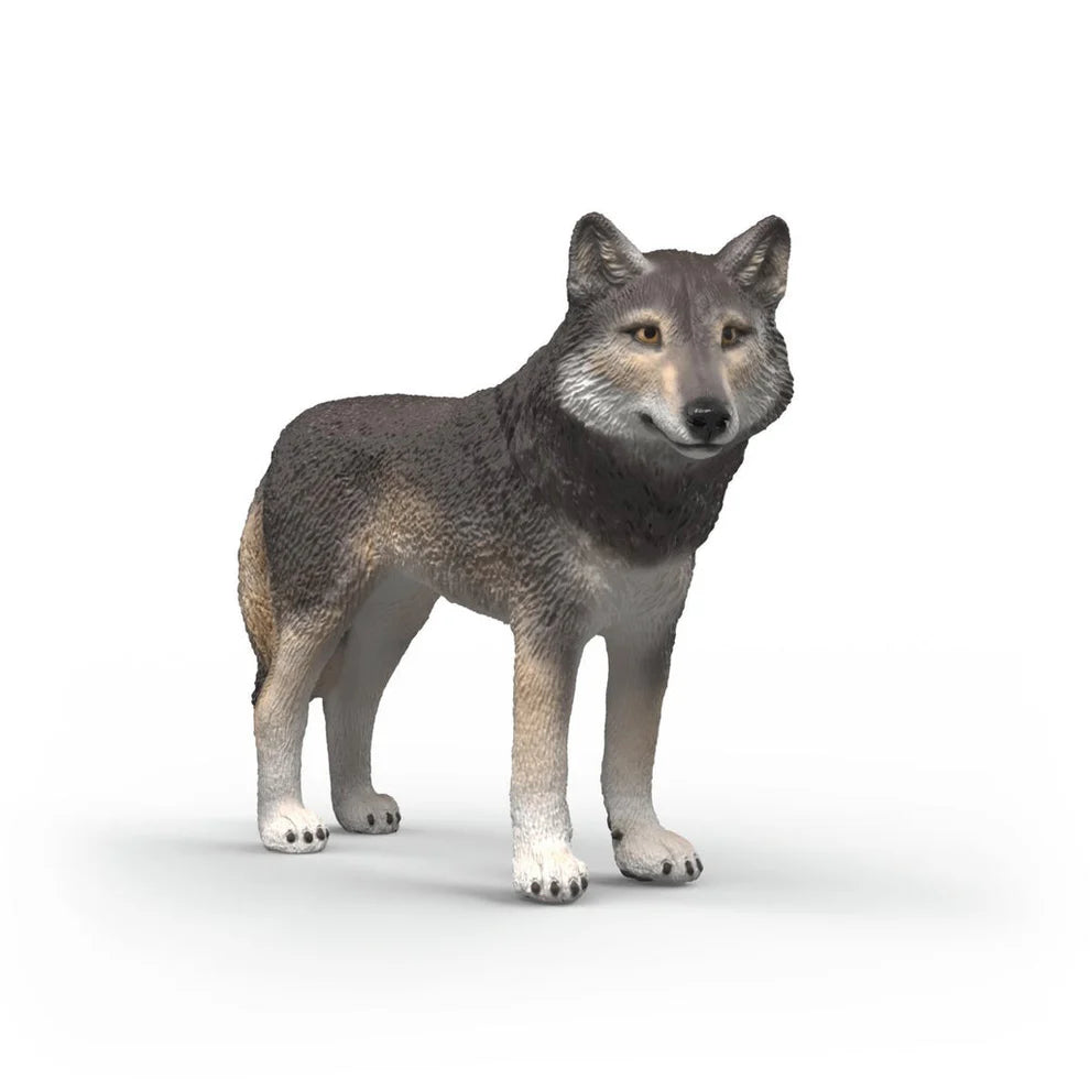 Schleich | Wolf