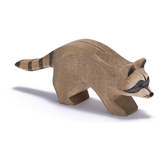 Ostheimer | Raccoon