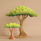 Bumbu | Acacia Tree