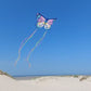 Djeco | Maxi Butterfly Kite