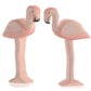 Ostheimer | Flamingo