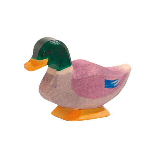 Ostheimer | Duck - Male