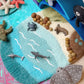 Tara Treasures | Playscape- Sea, Beach & Rockpool (Small)