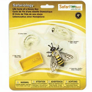 Safari LTD | Life Cycle Sets (various)