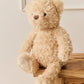 Jamie Kay | Arthur the Bear