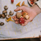 Grapat | Mushroom Grove