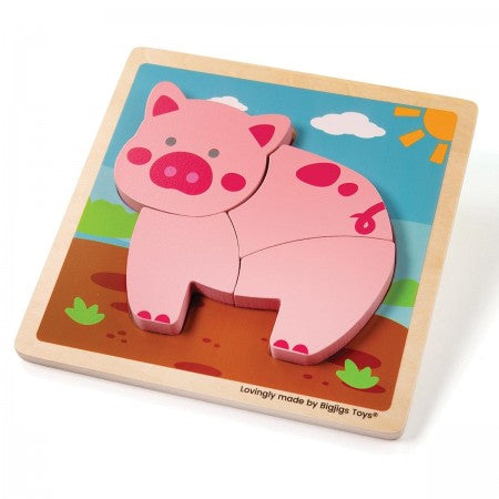 Bigjigs | Chunky Lift Out Puzzle (various)