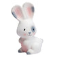 Tikiri | Rattle & Bath Toy - Farm