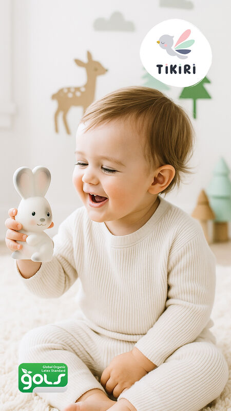Tikiri | Rattle & Bath Toy - Farm