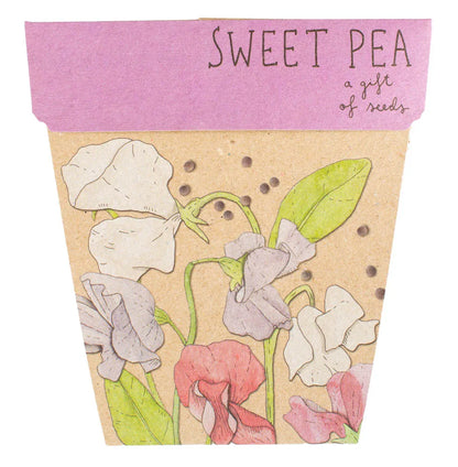 Sow 'n Sow | Gift of Seeds (various)