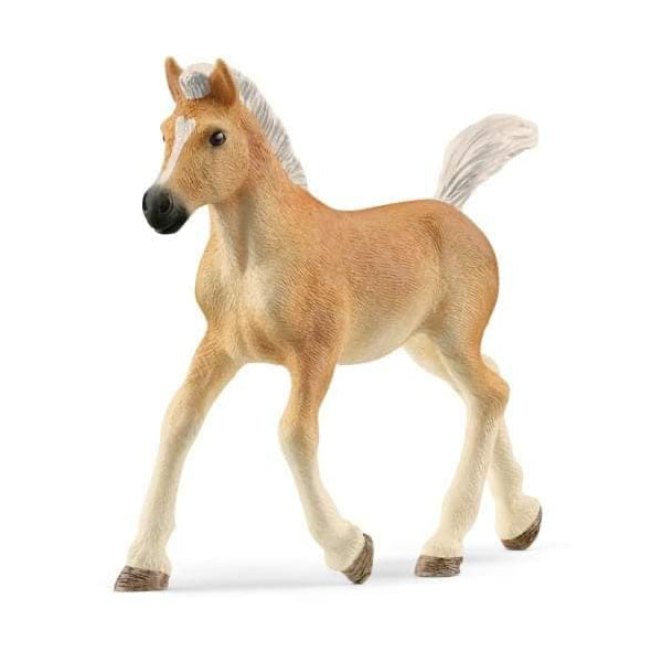 Schleich | Haflinger Foal