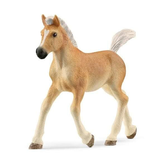 Schleich | Haflinger Foal
