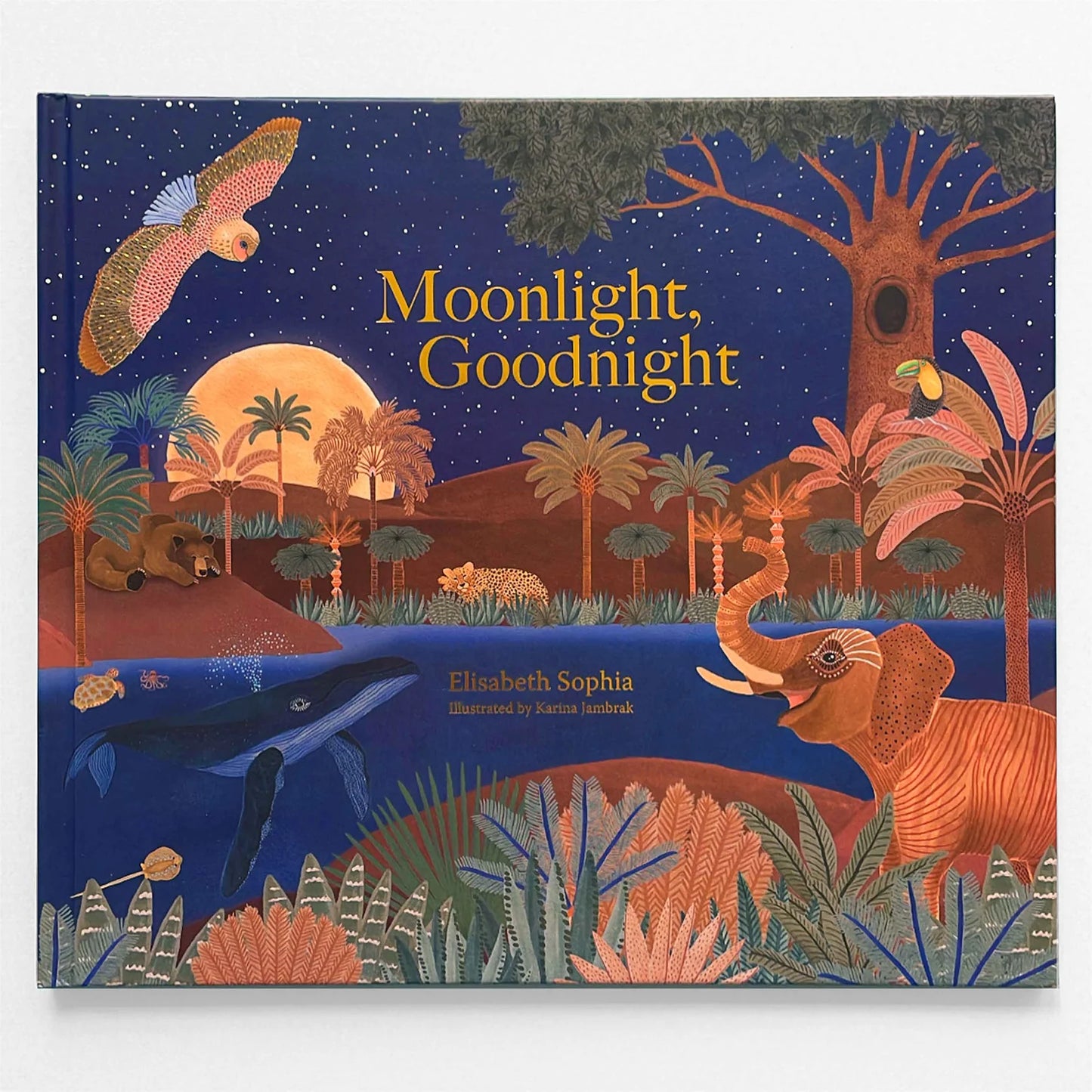 Book | Moonlight, Goodnight