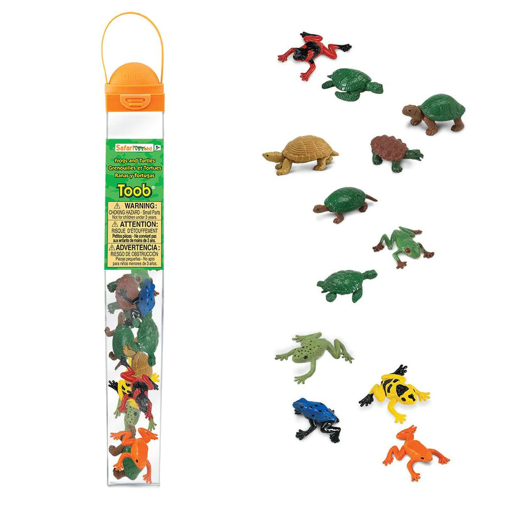 TOOBS | Frogs & Turtles