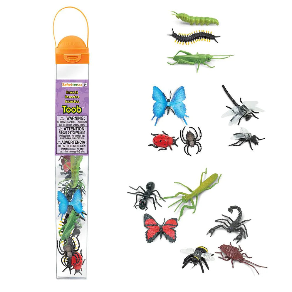 TOOBS | Insects