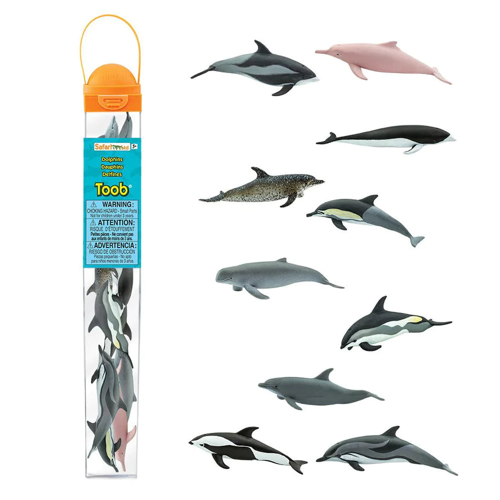 TOOBS | Dolphins