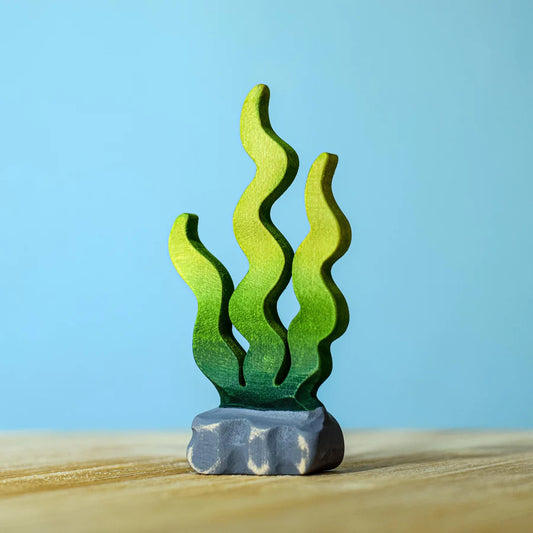 Bumbu | Seaweed Sugar Kelp