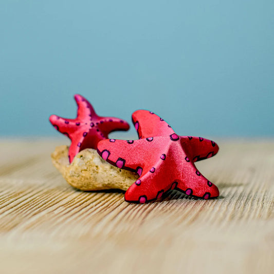 Bumbu | Red Starfish Set
